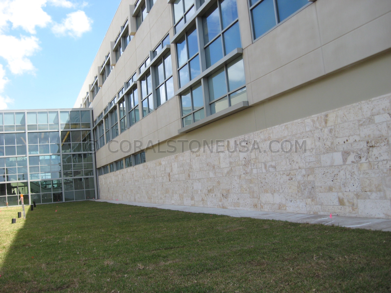 Wall Veneer