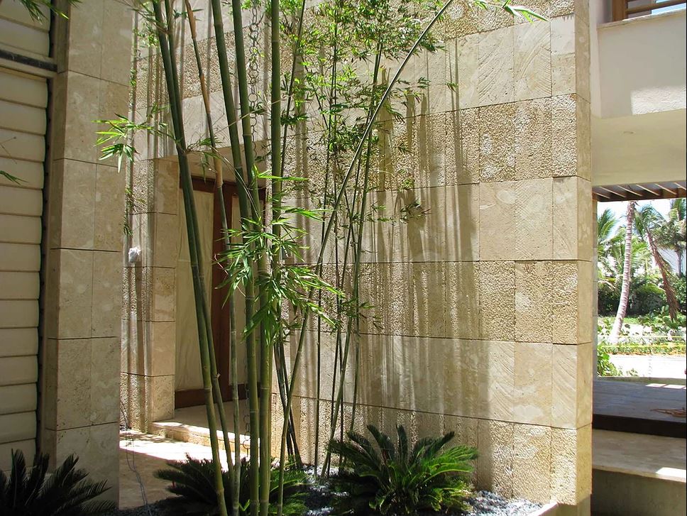 eige coral stone veneer with rustic finish used as florida stone veneer alternative to oolite stone veneer on modern tropical home exterior wall